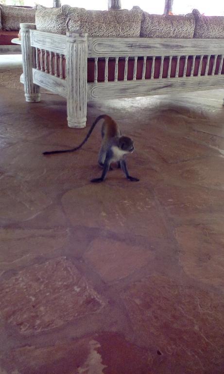 Villa Fortuna Malindi Extérieur photo